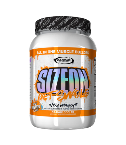 Gaspari Nutrition SizeOn Intra Workout